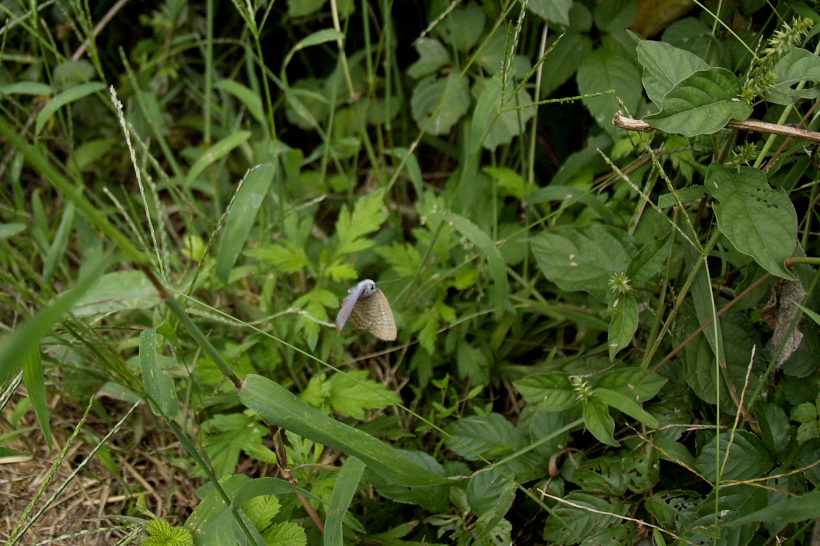 f0090680_2323818.jpg