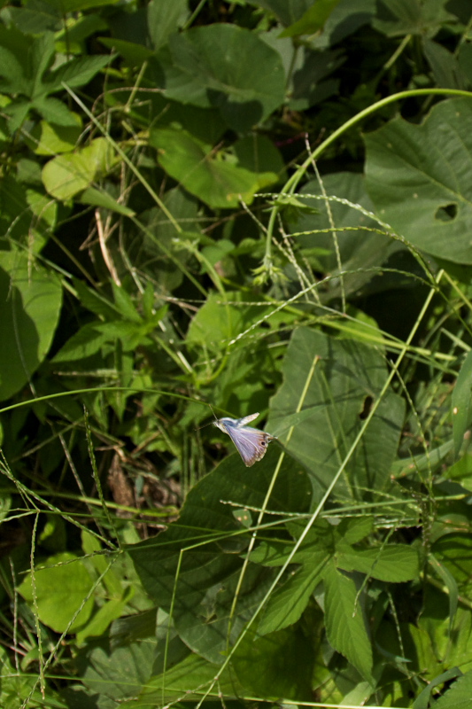 f0090680_234598.jpg