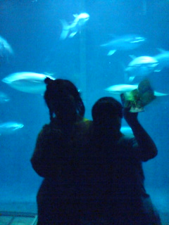 c0035386_026840.jpg