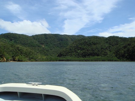 c0139388_2240387.jpg