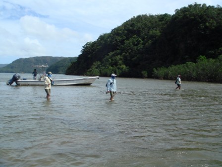 c0139388_22411576.jpg