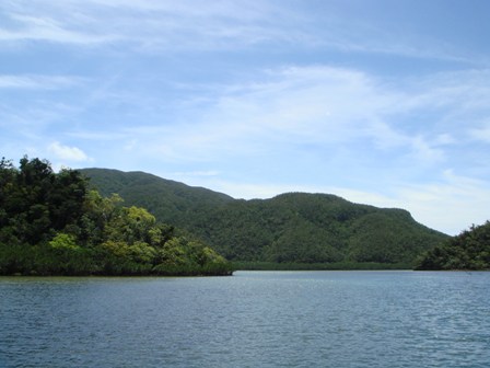 c0139388_2245177.jpg
