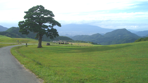 b0099994_8583867.jpg