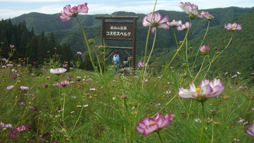 b0099994_8591644.jpg