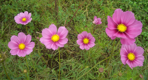 b0099994_923492.jpg