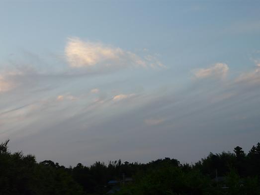 d0145794_20193938.jpg