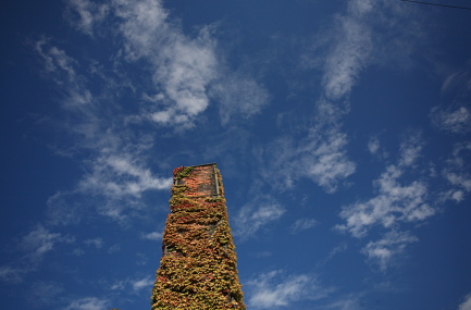 f0103797_1720328.jpg