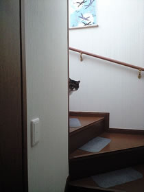 c0035001_15135088.jpg