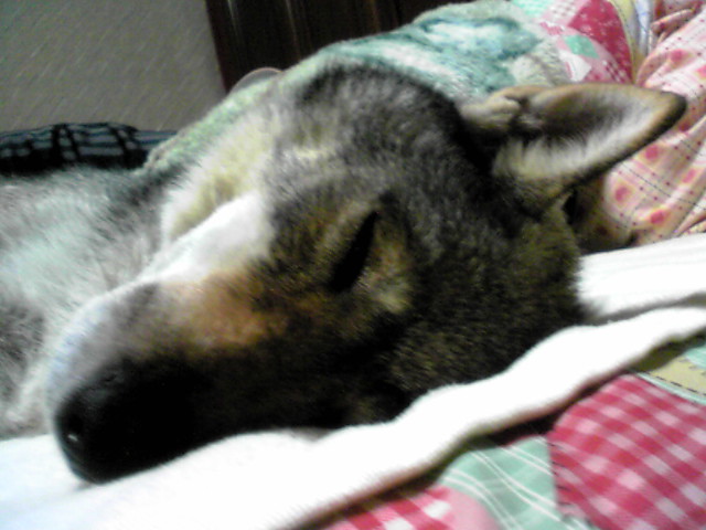 f0079202_012486.jpg