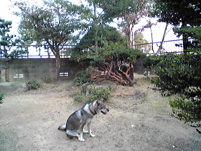 f0079202_17144039.jpg