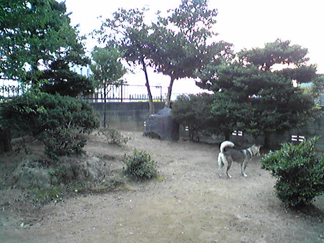 f0079202_1714405.jpg