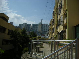 a0101503_165456.jpg