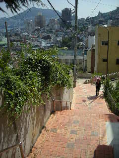 a0101503_17931.jpg