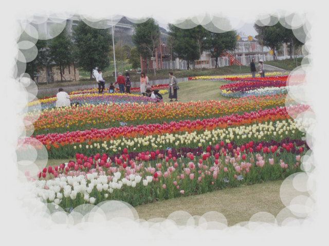 c0098304_20131578.jpg