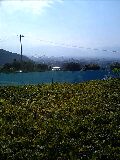 d0032405_2253715.jpg