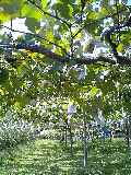 d0032405_2275659.jpg