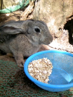 c0032006_0314851.jpg