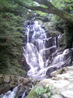 c0032006_1592090.jpg