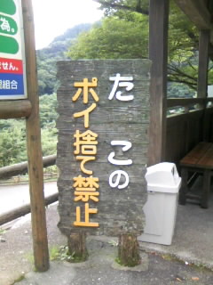 c0032006_242178.jpg