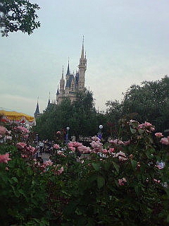 c0110906_20265814.jpg