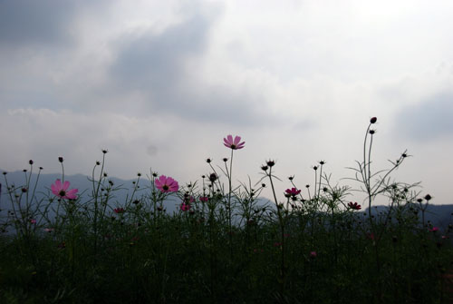 b0014607_23443772.jpg