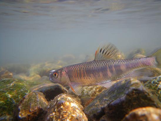 e0123808_2221325.jpg