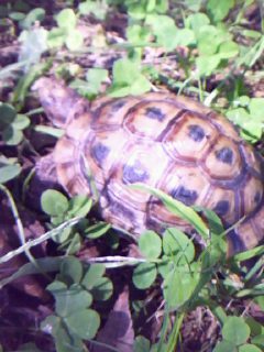 c0128710_190096.jpg