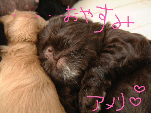 f0186310_21443931.gif