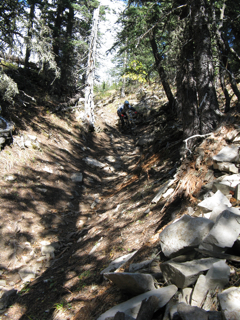 c0156019_1394770.jpg