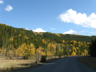 c0156019_1482586.jpg