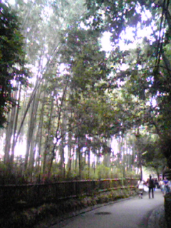 a0019322_23362116.jpg