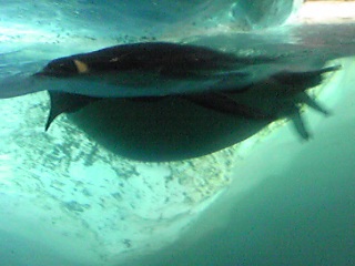a0019322_23383389.jpg
