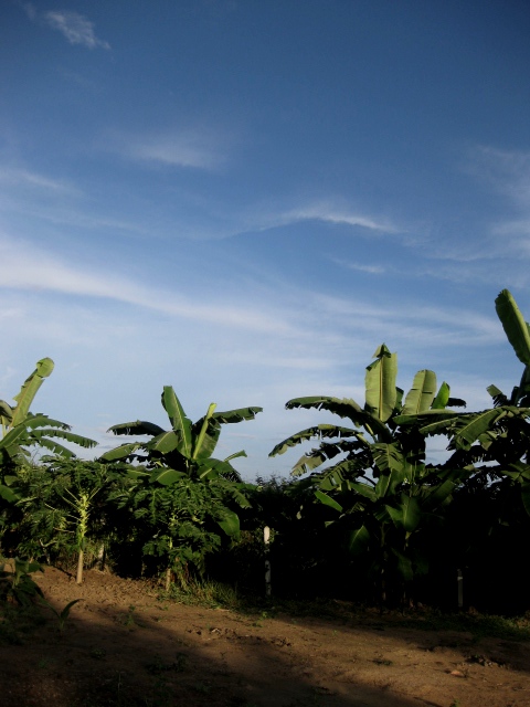 c0134522_21522631.jpg