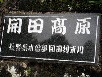 e0033926_1958377.jpg