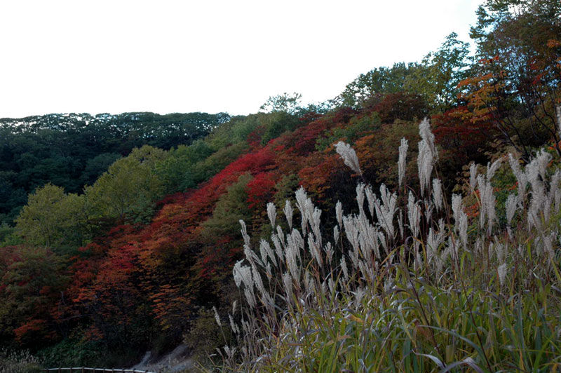 e0037129_021381.jpg