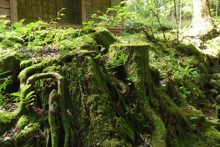 f0106032_2033790.jpg