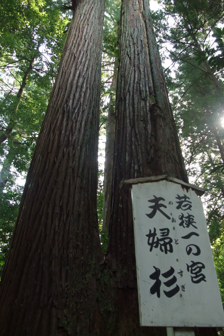 f0106032_2034812.jpg