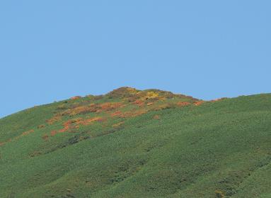f0118332_23241641.jpg