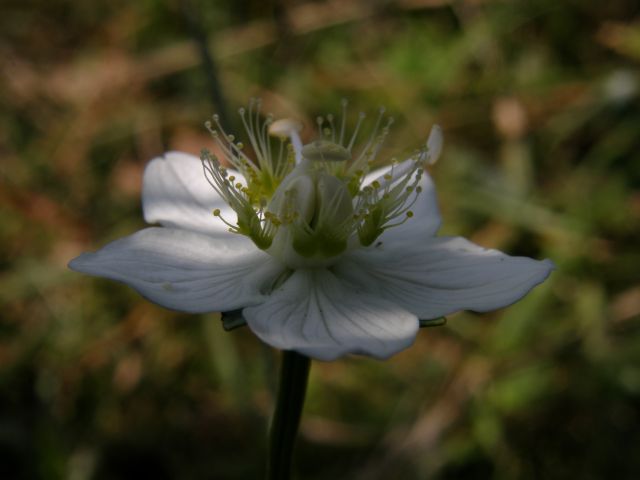 e0145033_18435322.jpg