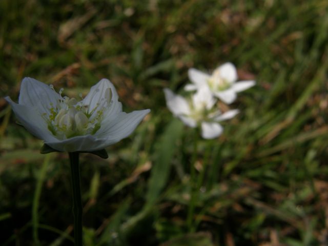 e0145033_1843823.jpg