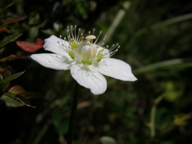 e0145033_1844742.jpg