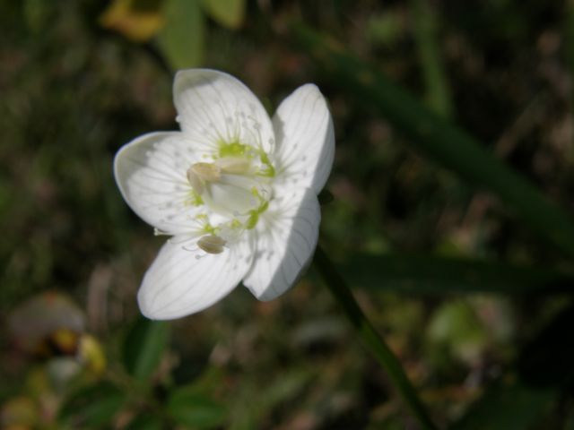 e0145033_1848758.jpg
