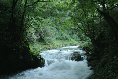 a0097735_0115790.jpg