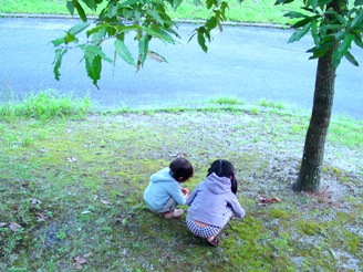 e0127935_2049185.jpg
