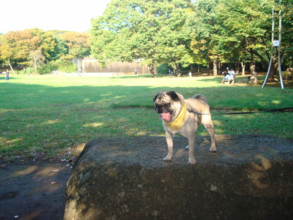 c0076141_20113846.jpg