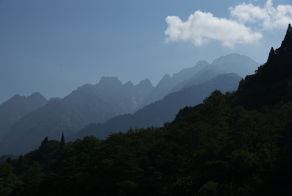 d0098645_18331642.jpg