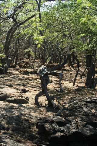 e0129046_8282216.jpg
