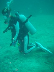 e0065350_4552248.jpg