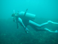 e0065350_4561233.jpg