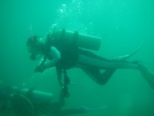 e0065350_457991.jpg